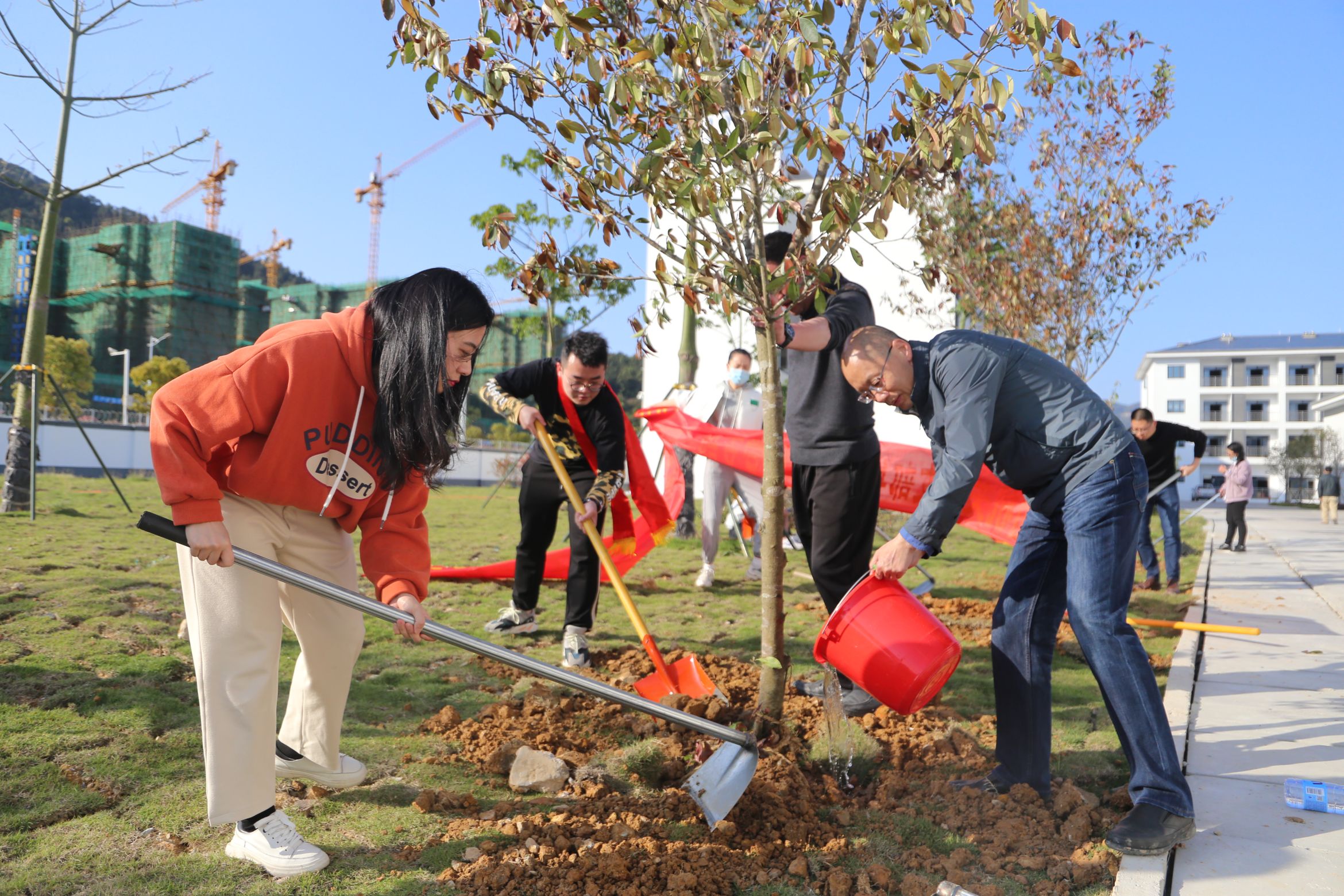 1617271197427915.jpg 1617271197427915.jpg